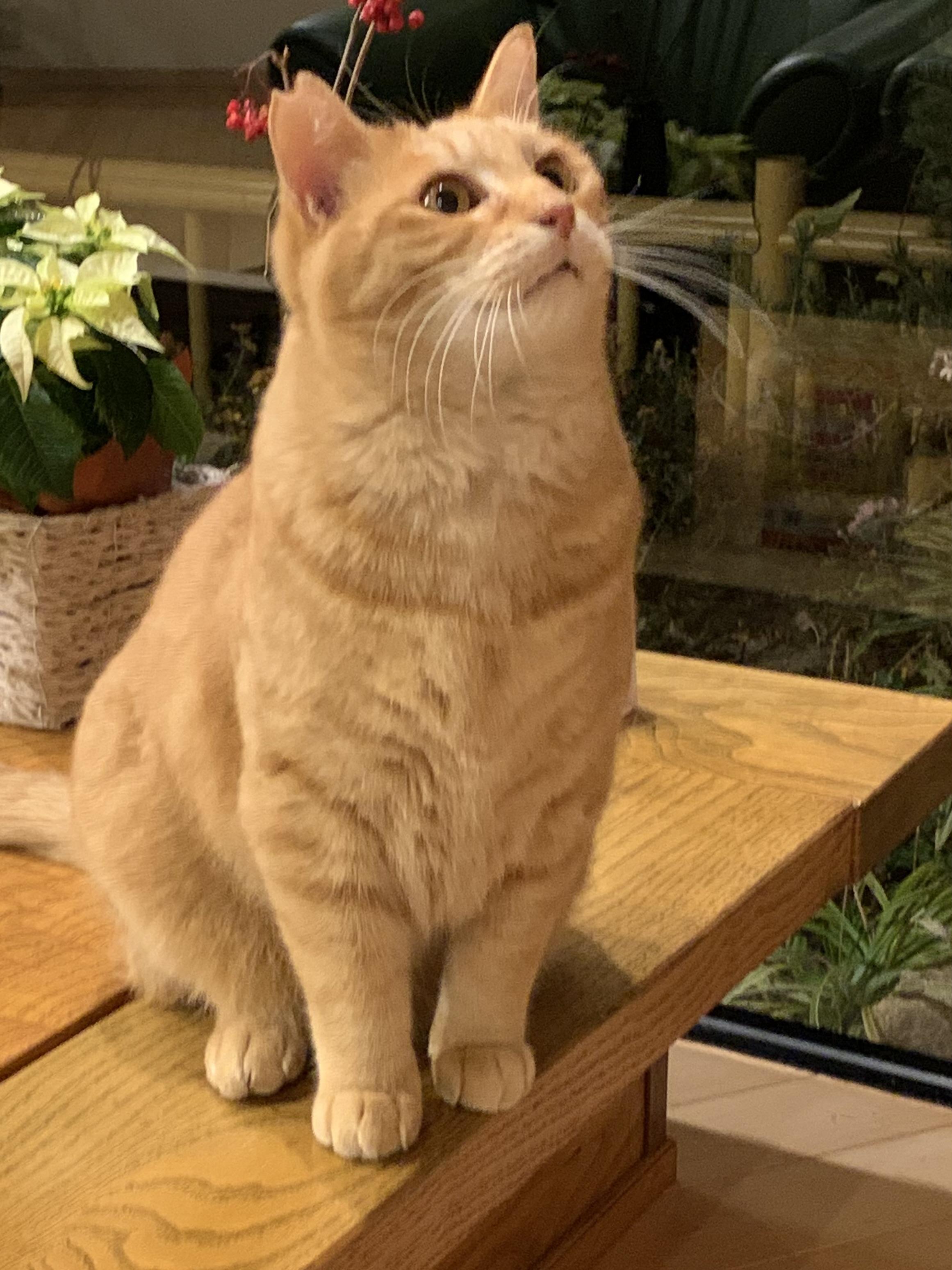 きいろロビーにて