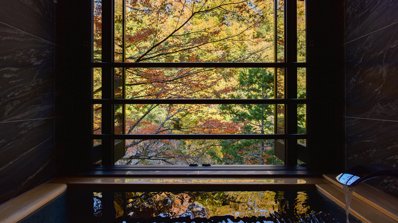 【夕朝食付】峡泉のスタンダードプラン｜天龍峡の渓谷に包まれる隠れ宿に身を委ねて