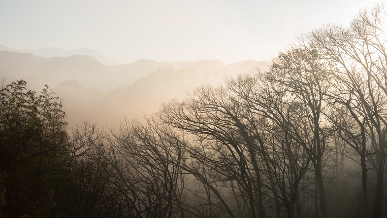 【5％OFF】【楽天スーパーSALE】彩り、香り、発見、驚きの想像力が広がる創作会席（夕朝食付）