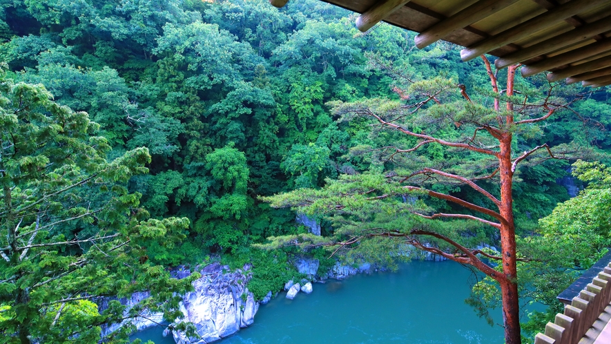 *【館内】天竜川を望む