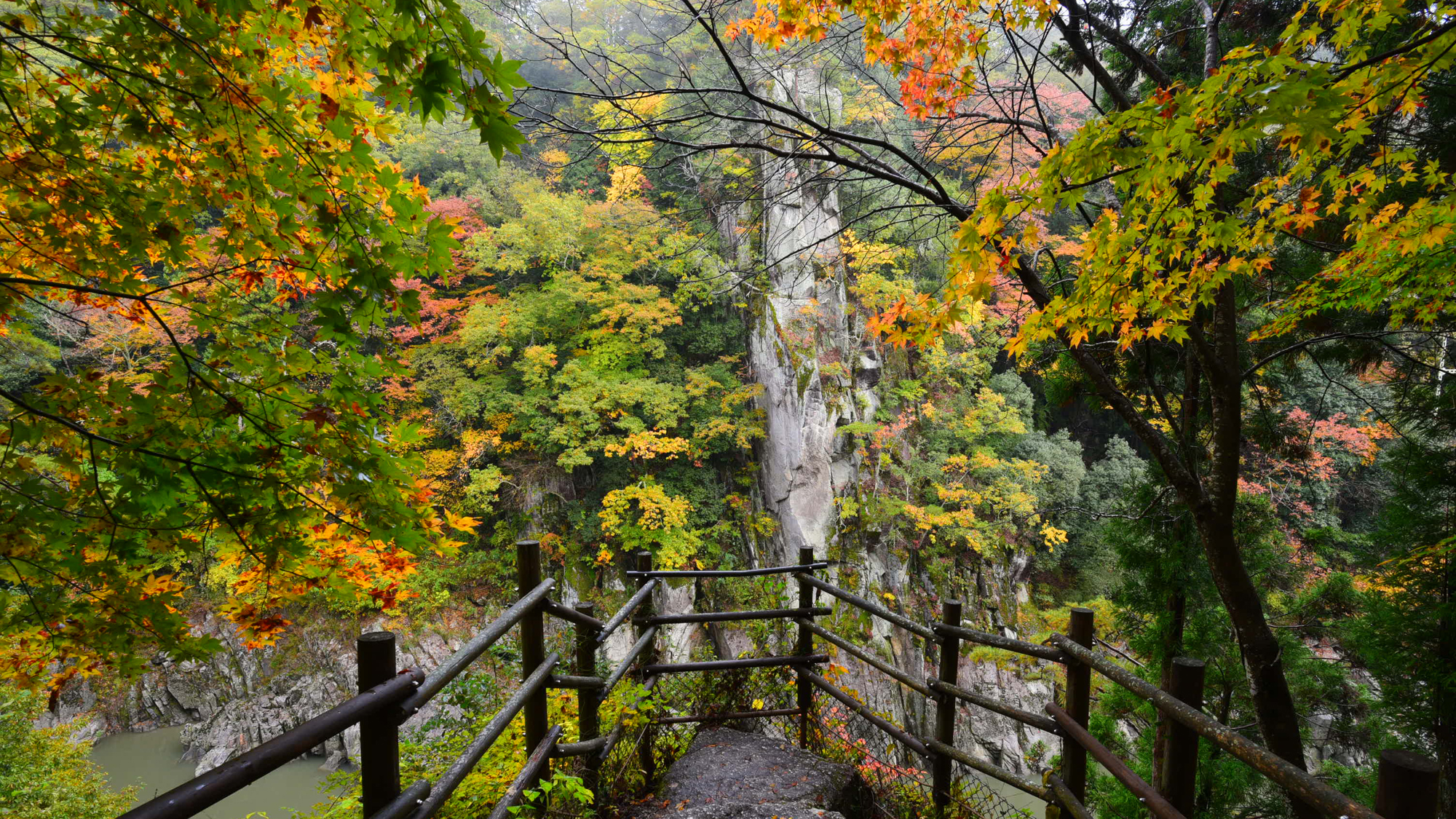 *【紅葉】例年の見ごろは10月下旬～11月上旬