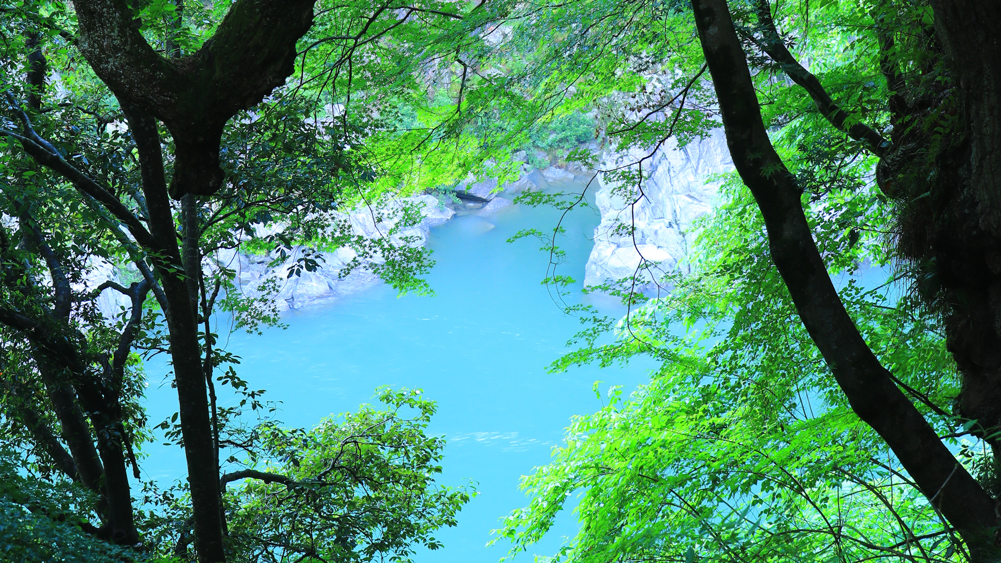 *【館内】天竜川を望む