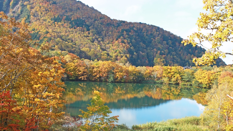 【秋】志賀高原秋の風景