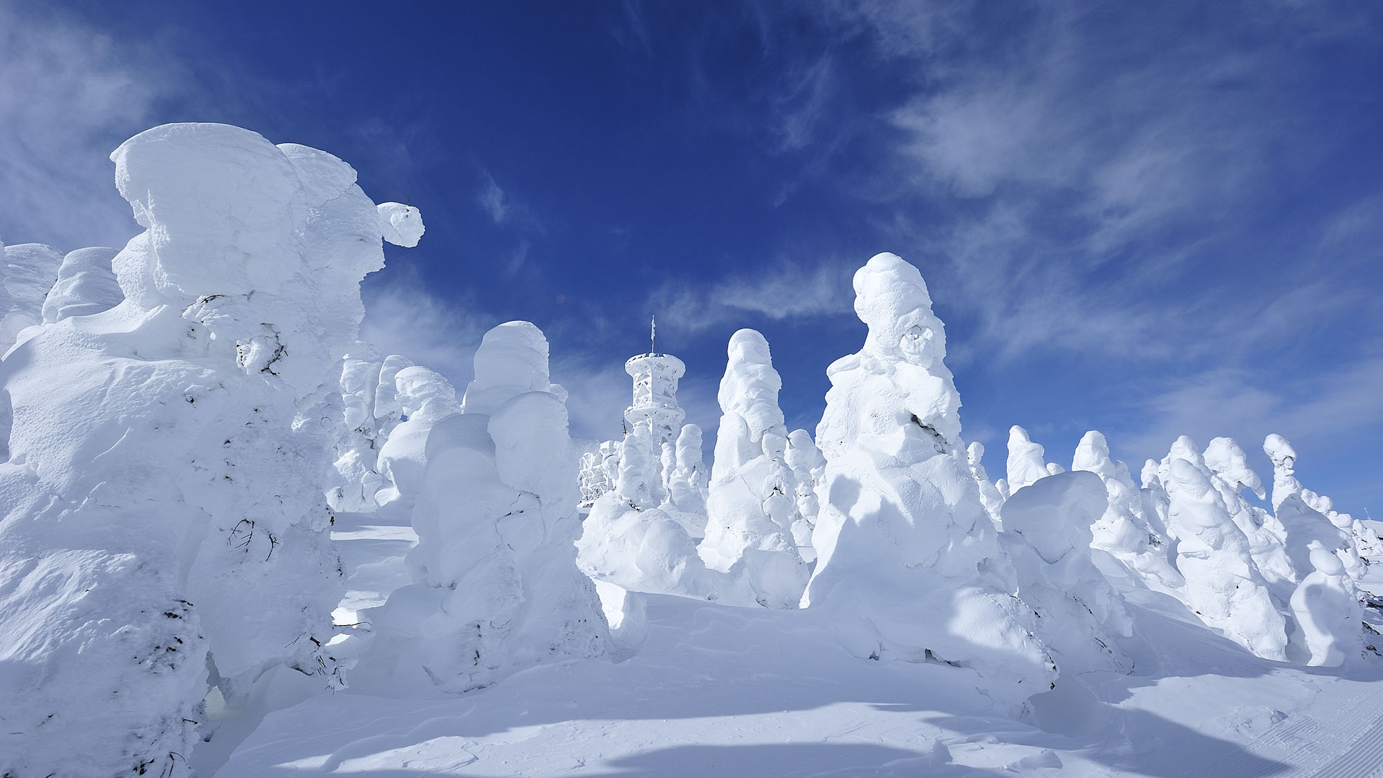 【冬】志賀高原雪景色