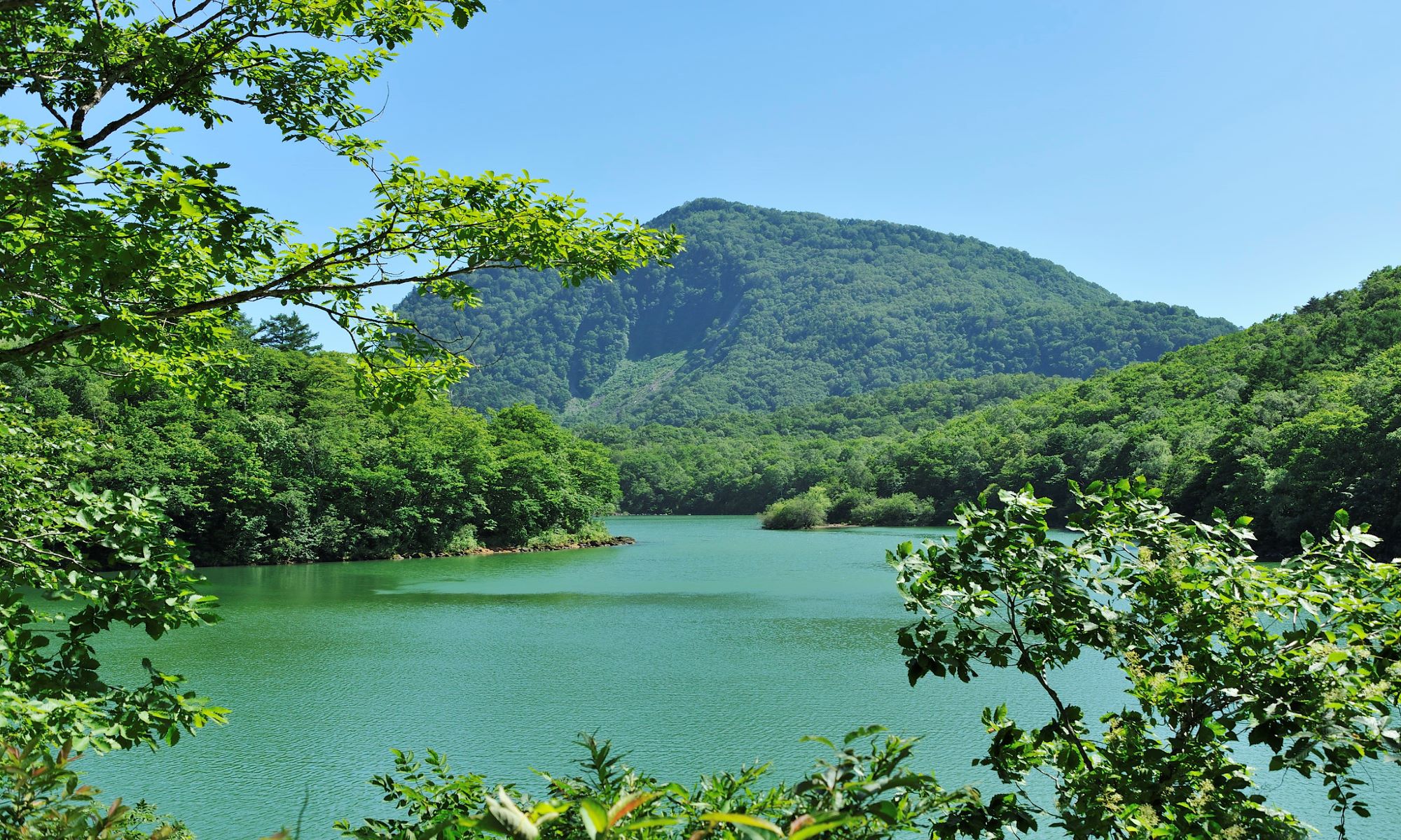 【夏】琵琶池。志賀高原で２番目に大きい池です。