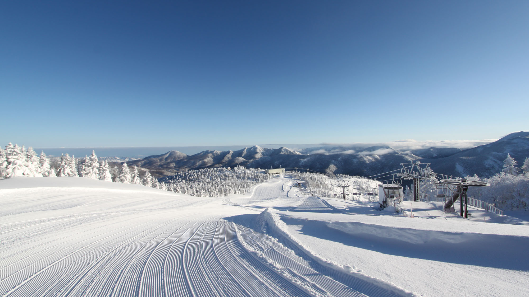 【冬】最高の雪質で、気持ち良く滑れます。