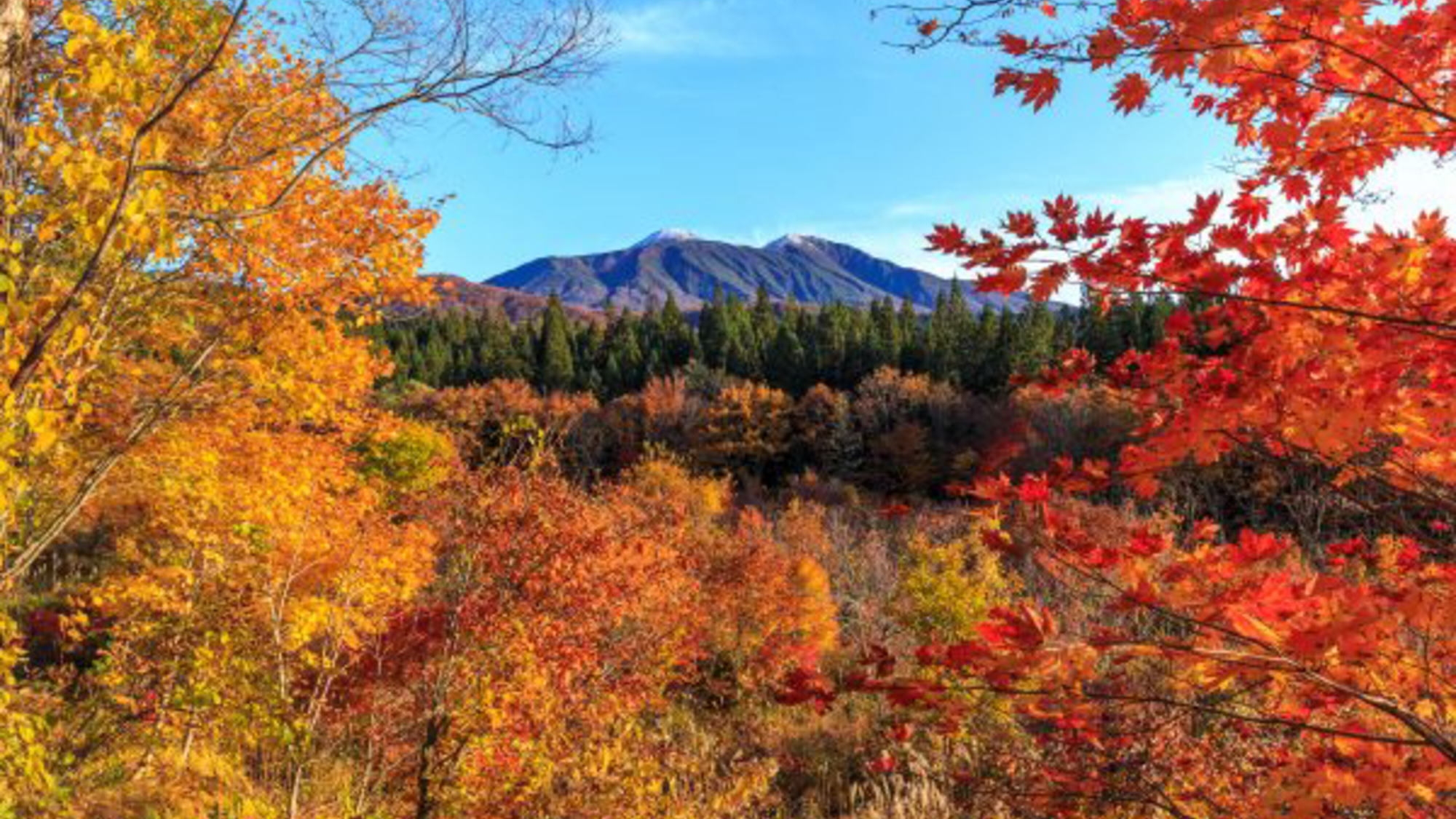 【秋田駒ヶ岳・乳頭温泉郷・八幡平・抱き返り渓谷◇紅葉！】紅葉の名所へ行こう！ご夕食は秋田ビュッフェ♪