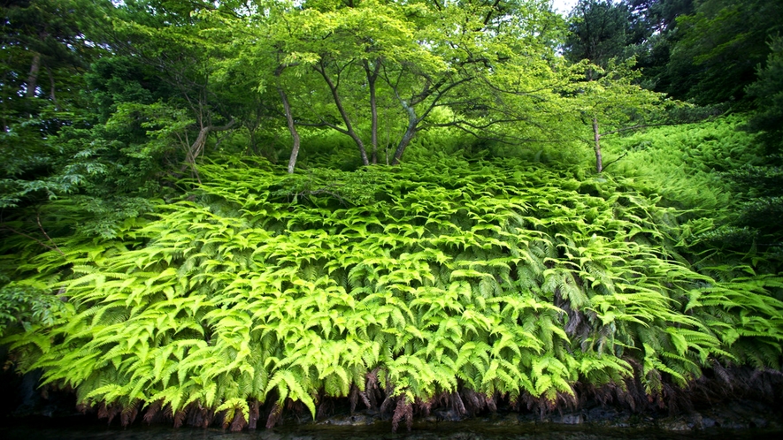 ■九十九湾風景■