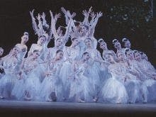 【素泊りプラン】第37回清里フィールドバレエ公演観賞向け（※鑑賞券は付きません）