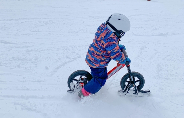 【リフト券付でお得！】シャトレーゼスキーバレー野辺山/小海の1日券付の一泊朝食付パック11300円〜