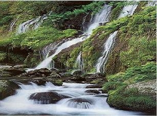 【素泊り6800円〜】さわやかな早春の清里高原！山・草原・牧場や近隣の温泉、気楽に動ける宿泊プラン
