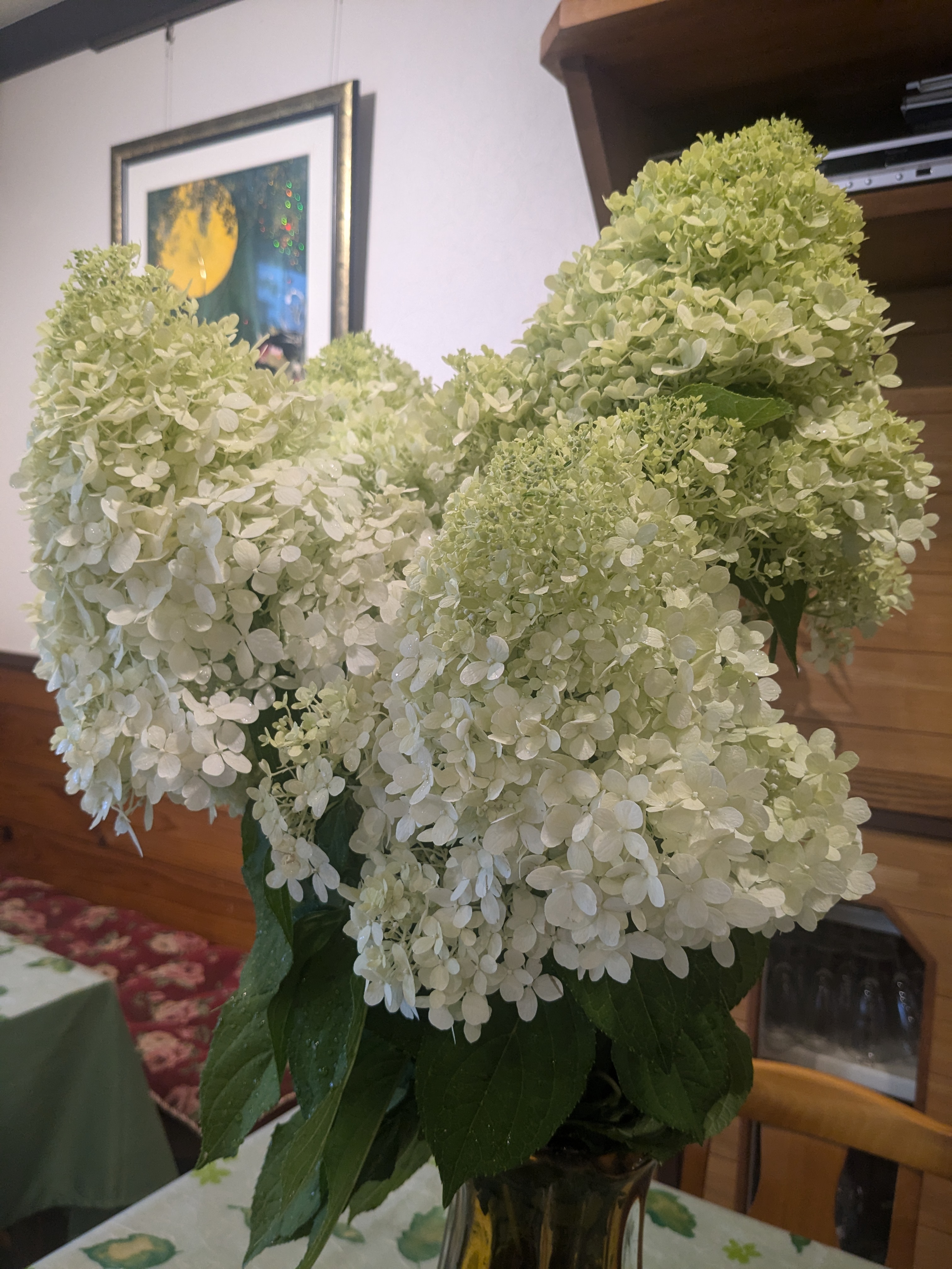 ピラミッドあじさい