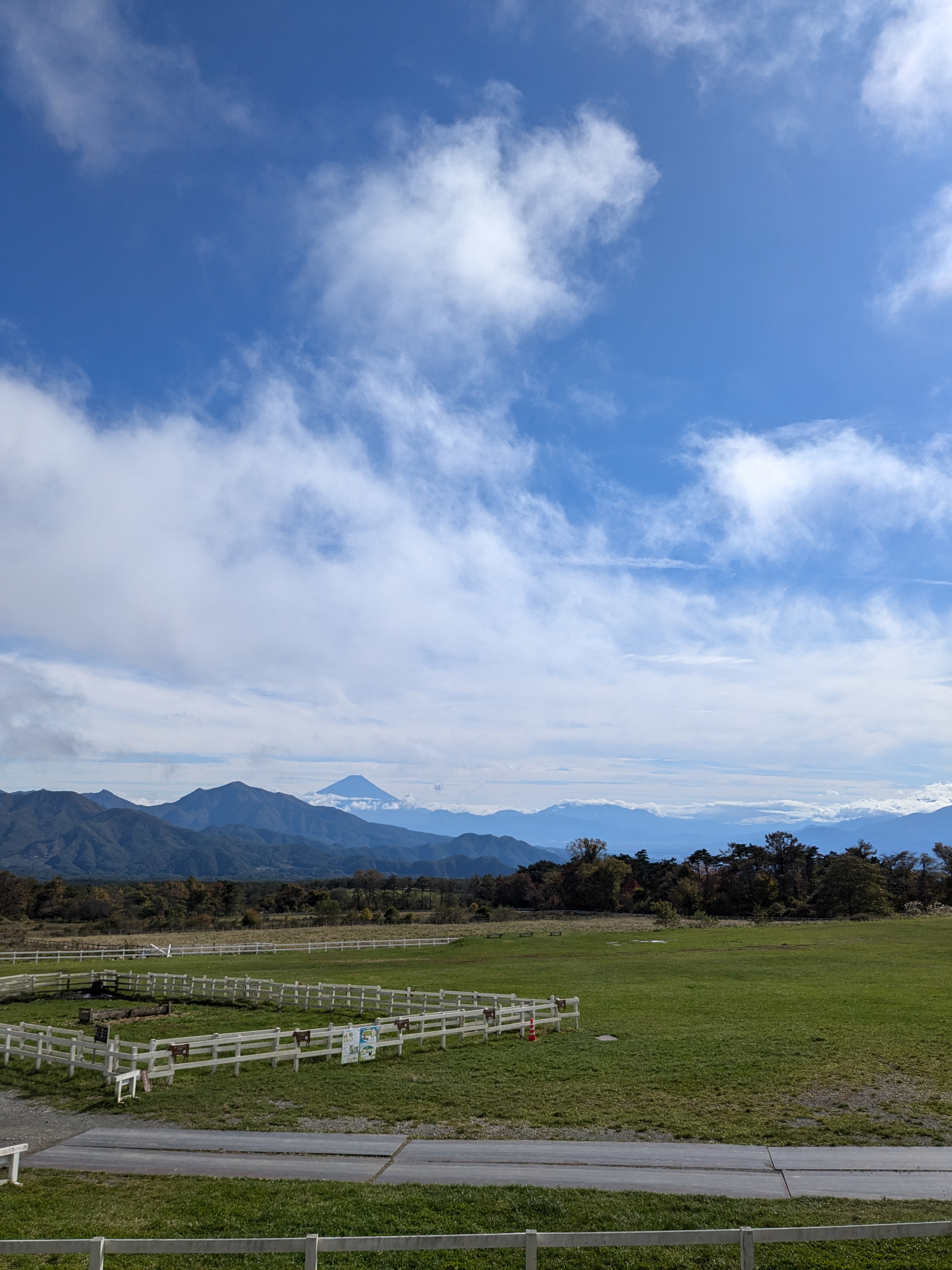 清泉寮の草原からの富士山2