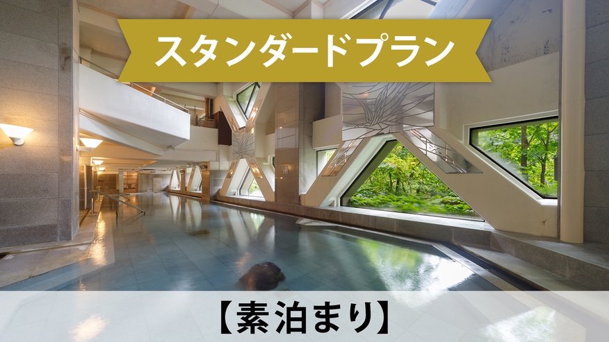 【スタンダード／素泊まり】道内最大級の室内温水プールや本格サウナ、最上階絶景露天を大満喫！