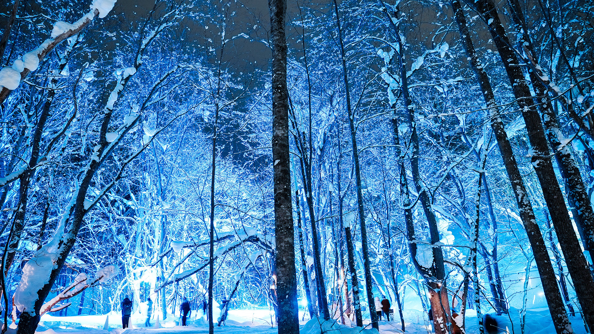 【雪灯路】毎年冬に開催される光のイベント。スノーキャンドルによる幻想的な灯りが定山渓の冬を彩ります。