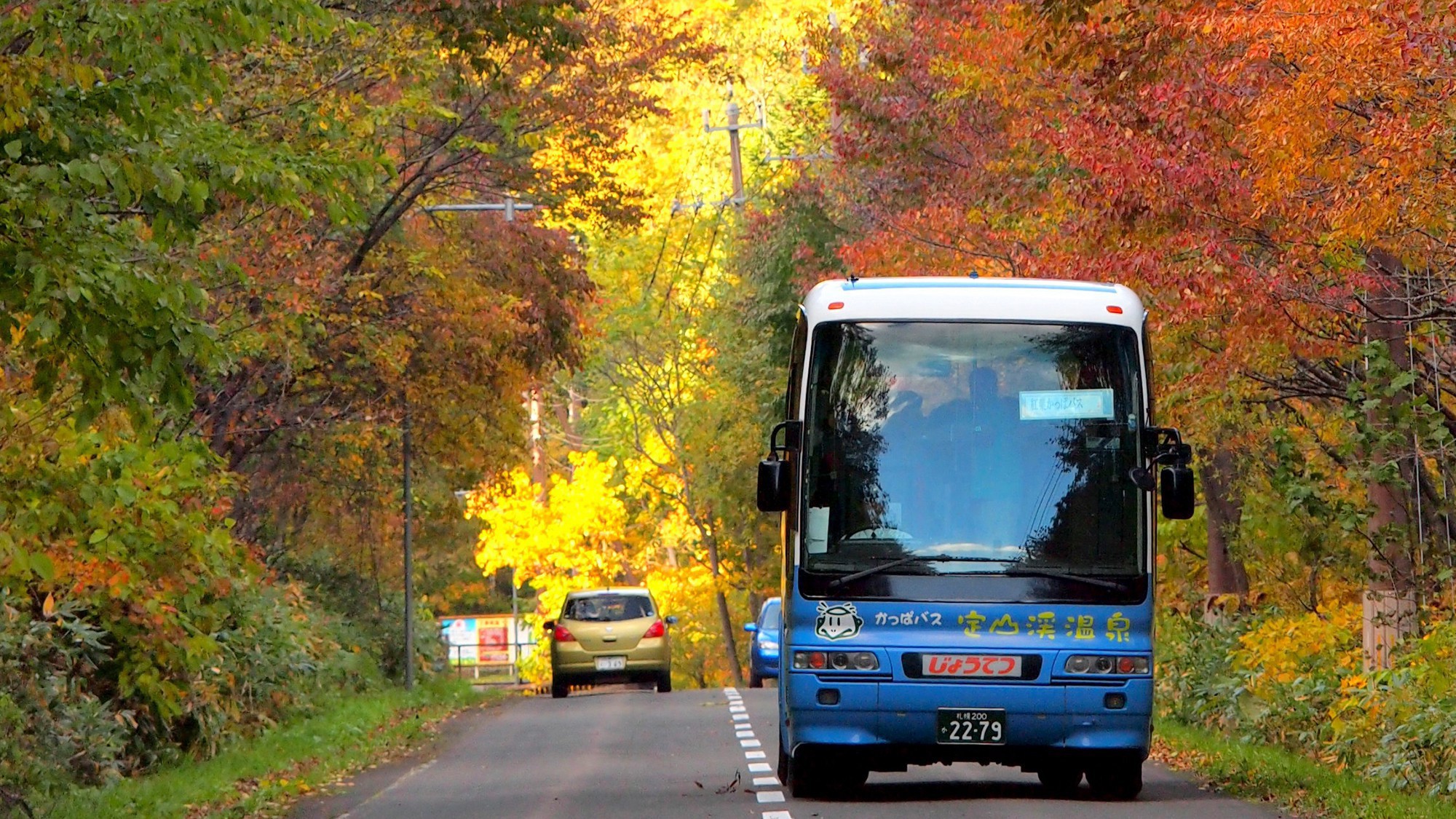 【紅葉かっぱバス】地元ガイドがご案内する紅葉周遊バスツアー。