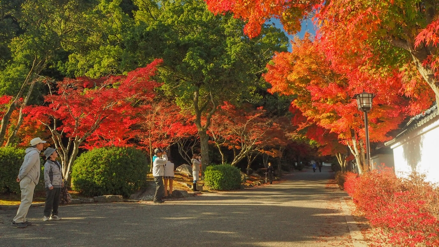 【紅葉谷公園】