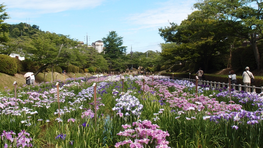 【菖蒲園】