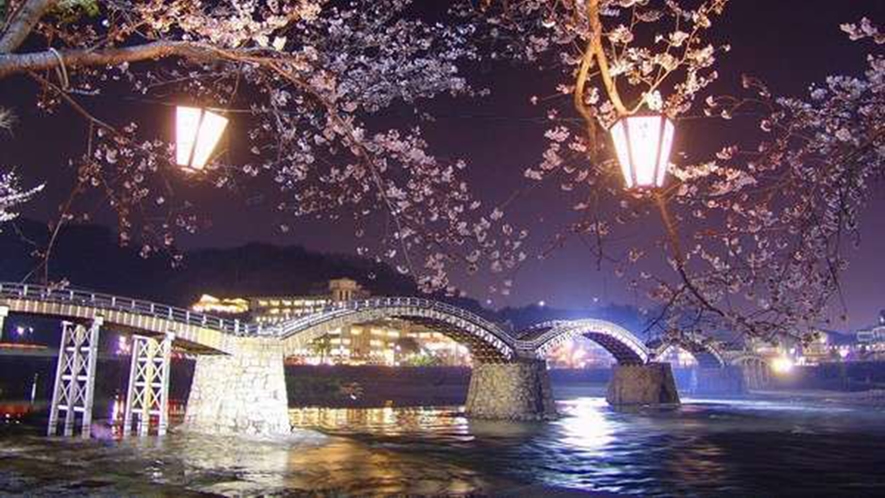 錦帯橋 桜