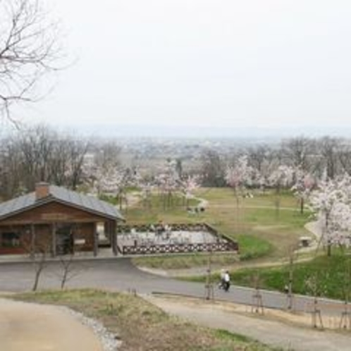 市民の森