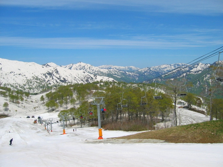 デューク　スタンダードプラン 　