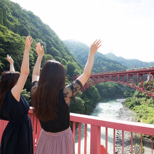 朝の爽やか散歩の風景(手ふりスポット）