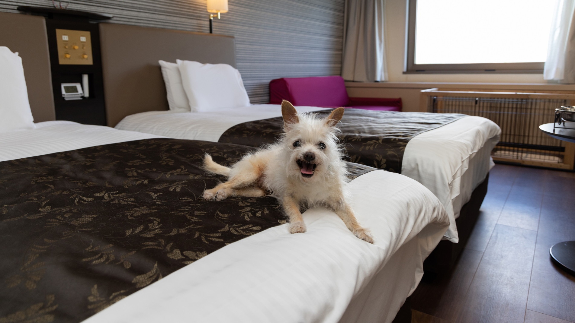 【本館:ステイウィズドッグ】ツイン ◇禁煙室◇