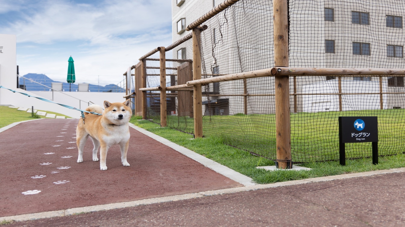 【コテージルーム※愛犬同室可】 夕食は北陸産の海鮮や新潟県産豚肩ロースしゃぶしゃぶなどのビュッフェ