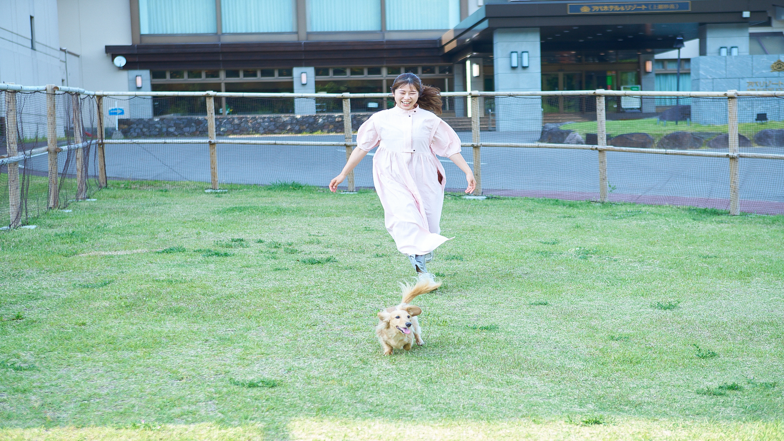 屋外ドッグラン
