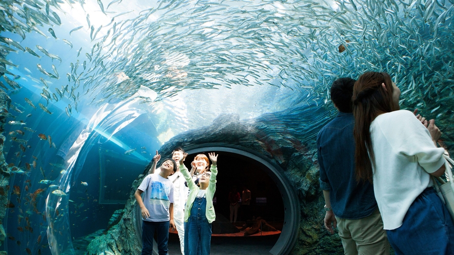 上越市立水族博物館　うみがたり