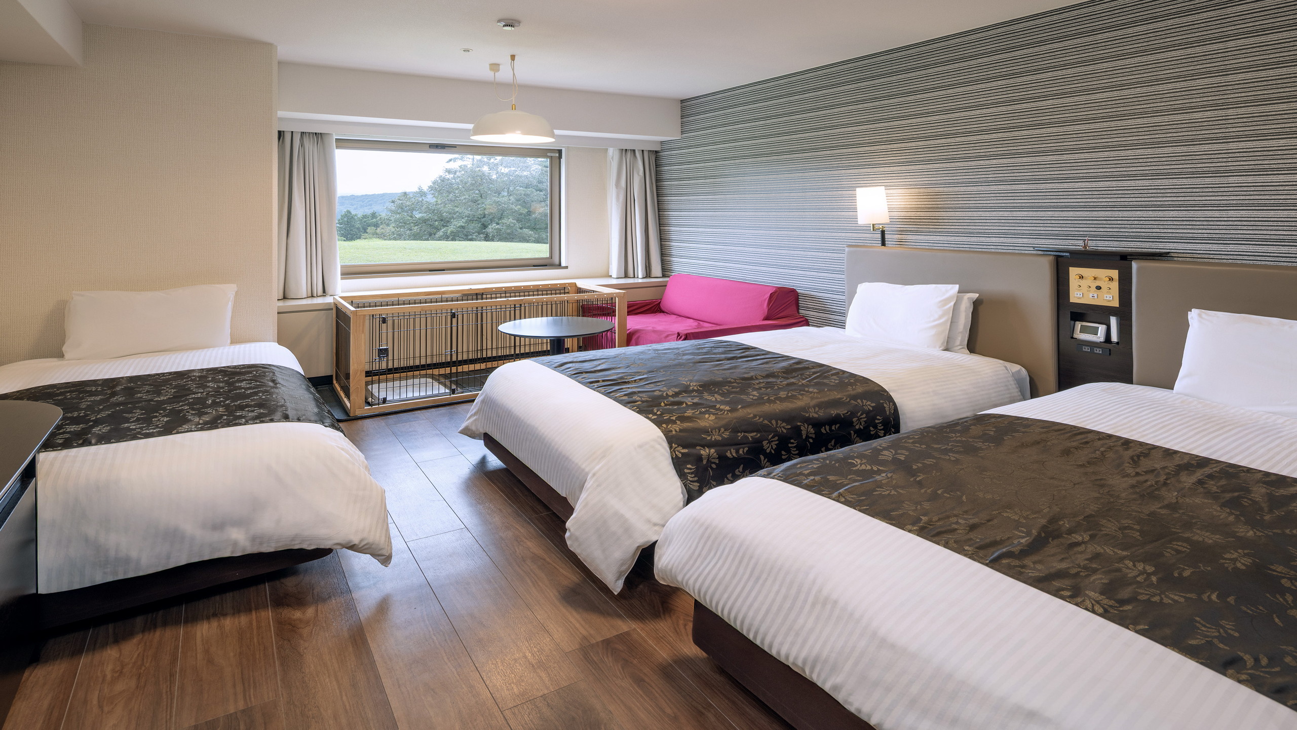 【本館：38㎡】ステイウィズドッグルームトリプル　ベッド数：3台