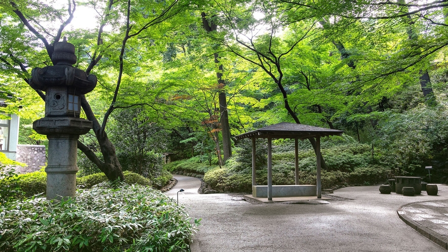 日本庭園 新緑の季節