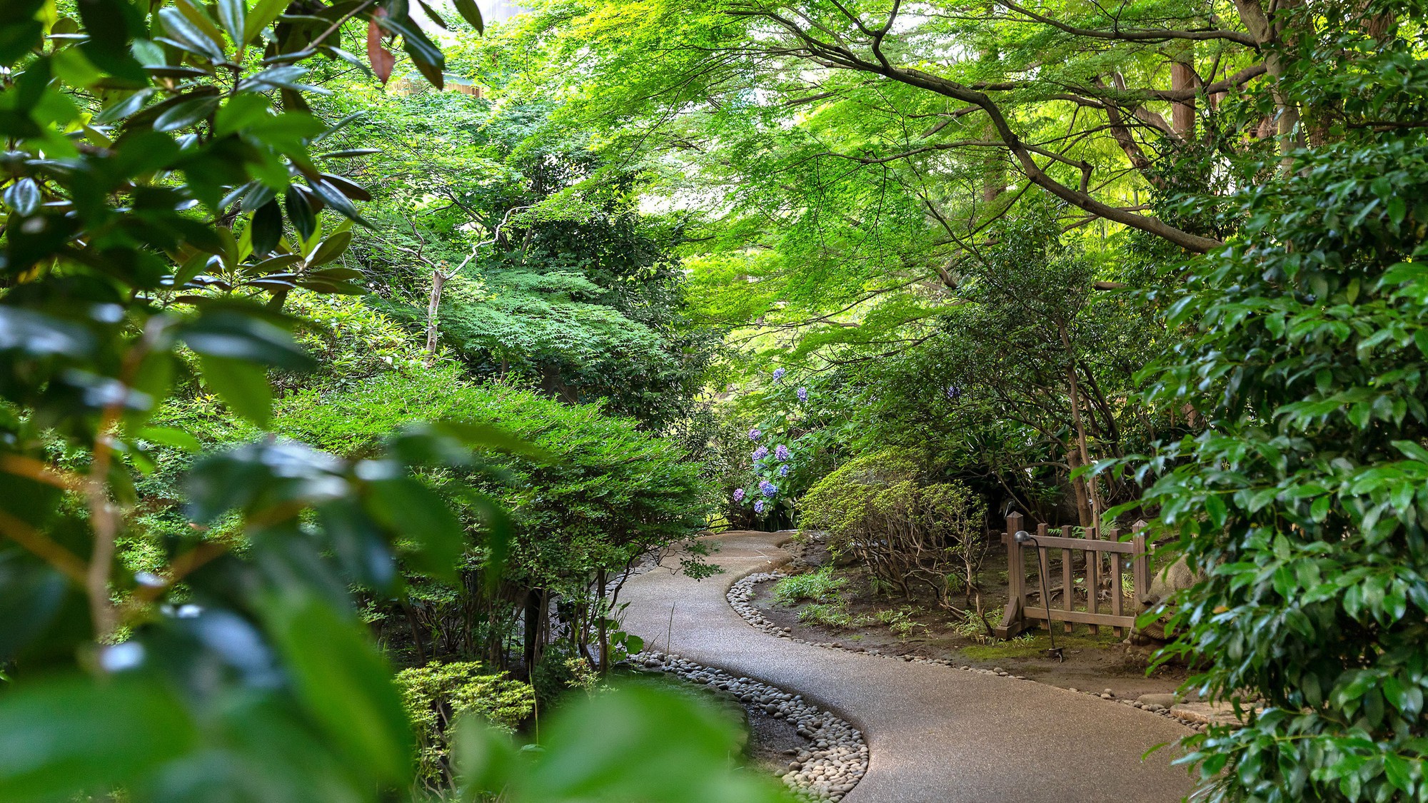 ホテル敷地内にある日本庭園は遊歩道が整備されているので、散策におすすめです。