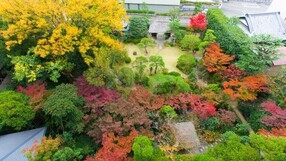 『特選』●和食料理長こだわりの特選瀬戸内会席をご堪能♪