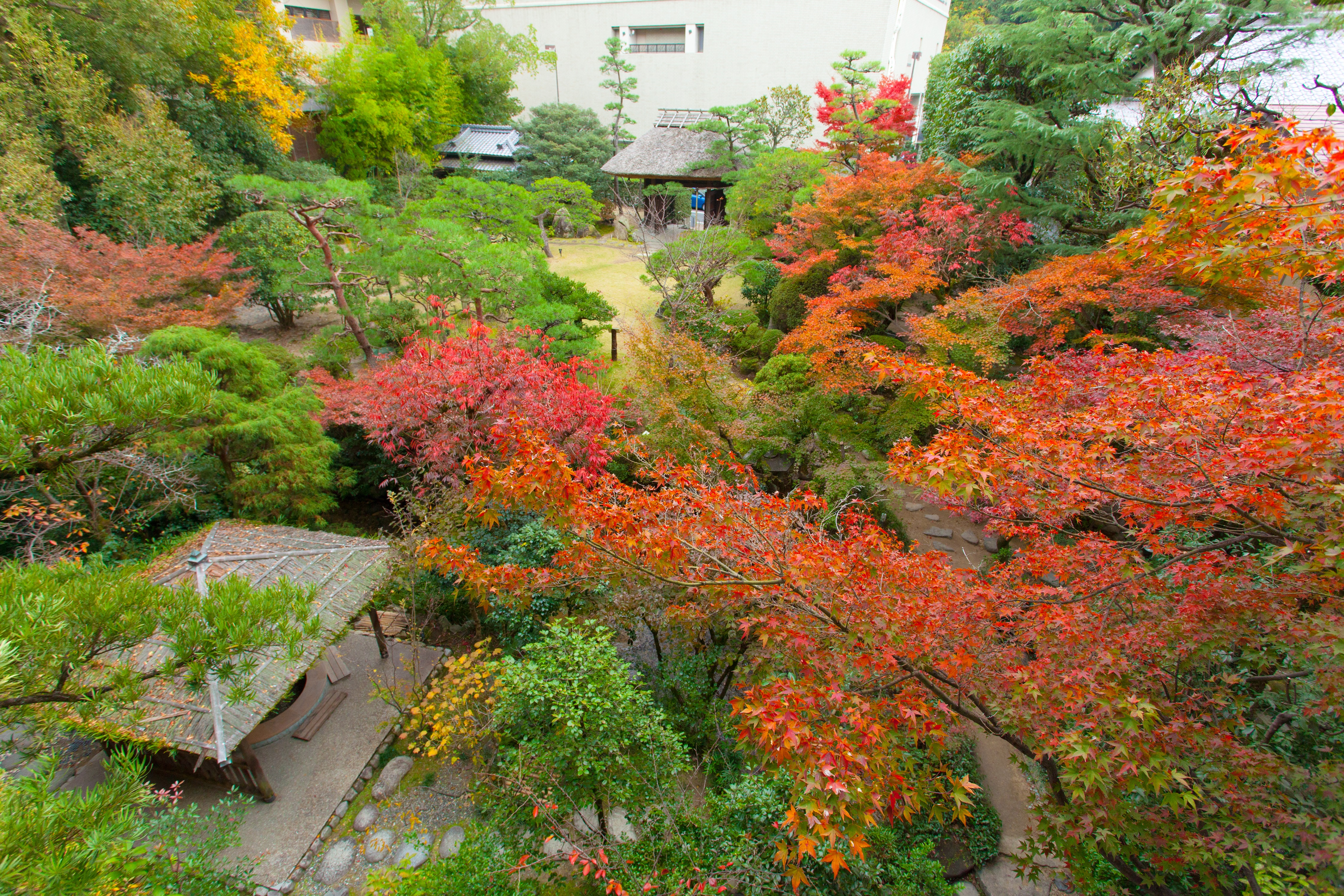 庭園の紅葉