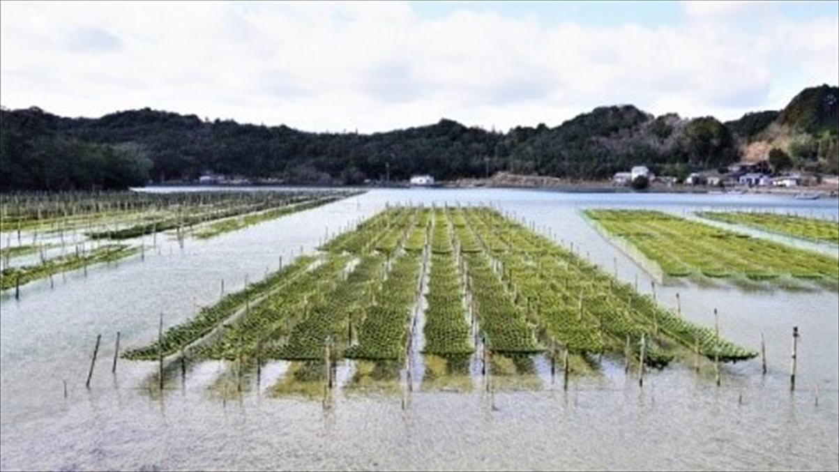 【さき楽】[朝食付]14日前の予約でお得なプラン