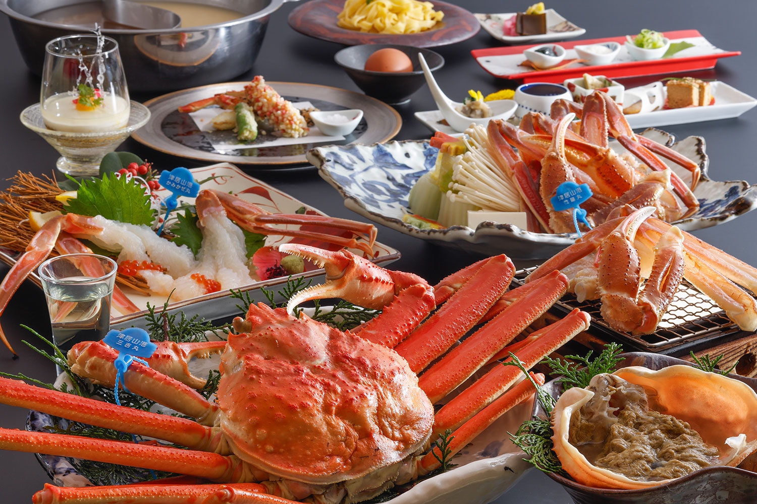 【特大ガニ極みプラン♪】特大活松葉ガニを贅沢に丸々2匹使用！松葉ガニフルコースを堪能★