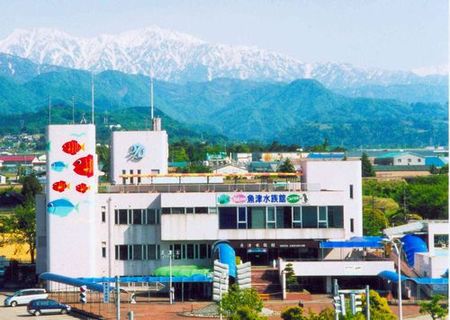 日本で最古の水族館を見に行こう！『魚津水族館入場券付』プラン［朝食付］