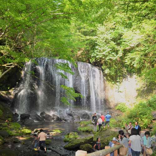 *新緑の達沢不動滝(猪苗代町)