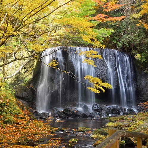 *[周辺観光]美しい紅葉の風景を楽しめる秋の達沢不動滝