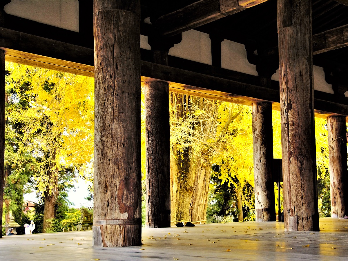 新宮熊野神社長床