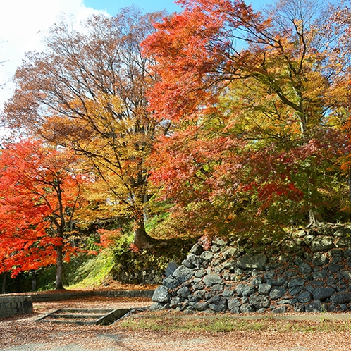 *[周辺観光]紅葉の季節は特にお勧め！秋の猪苗代亀ケ城跡公園