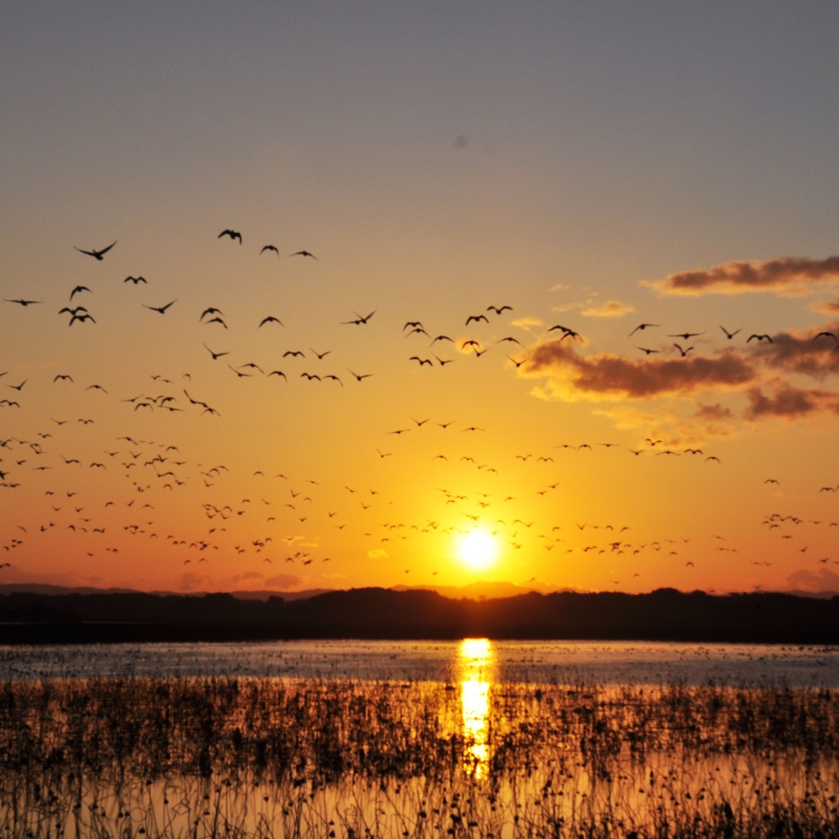 【ぬくぬくグッズ＆11時レイトチェックアウト】【素泊まり】ゆっくりステイ冬プラン