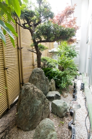 Small garden