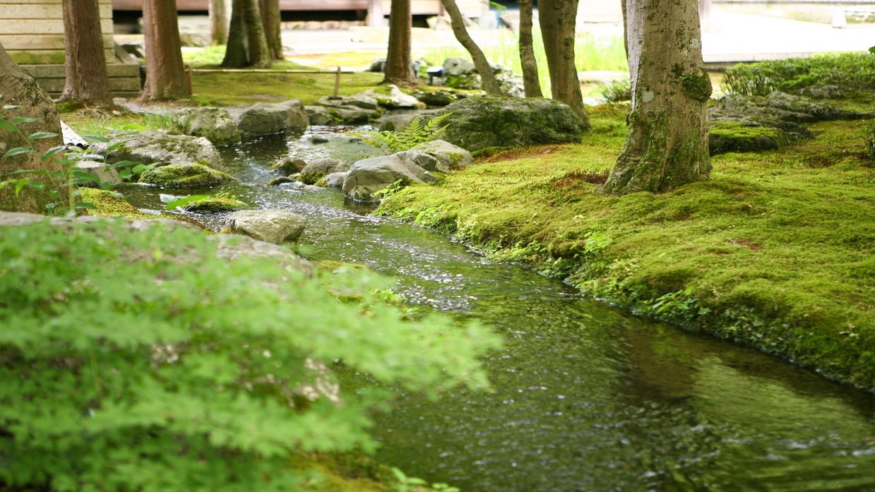 京都東急ホテル×第50回記念「京の夏の旅」文化財特別公開拝観券付（素泊まり）
