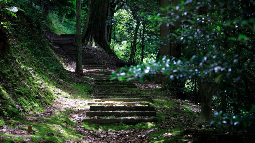 7階 ホテルの裏山・華頂山「野鳥の森・探鳥路」