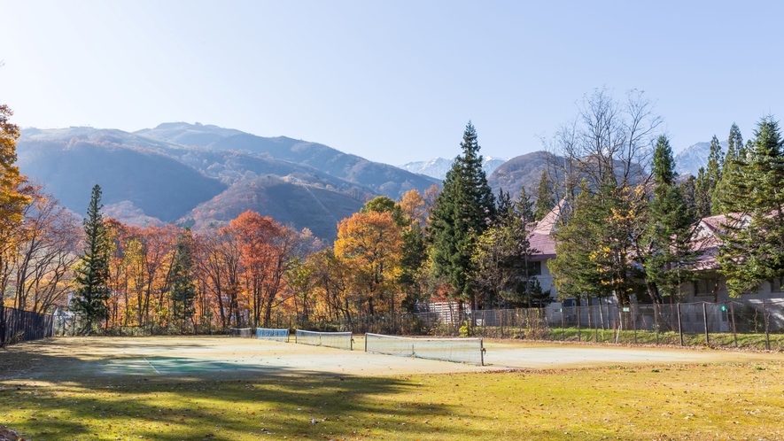◆テニスコート（秋の雰囲気）