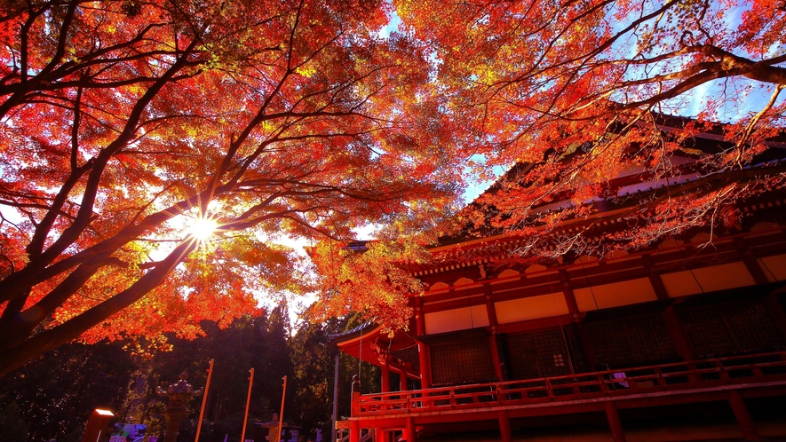 【周辺観光】比叡山延暦寺　紅葉（提供：びわ湖大津観光協会）