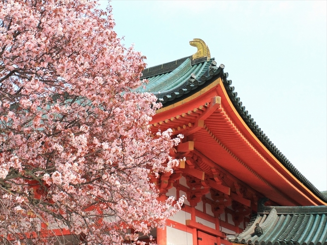【春】京都の桜