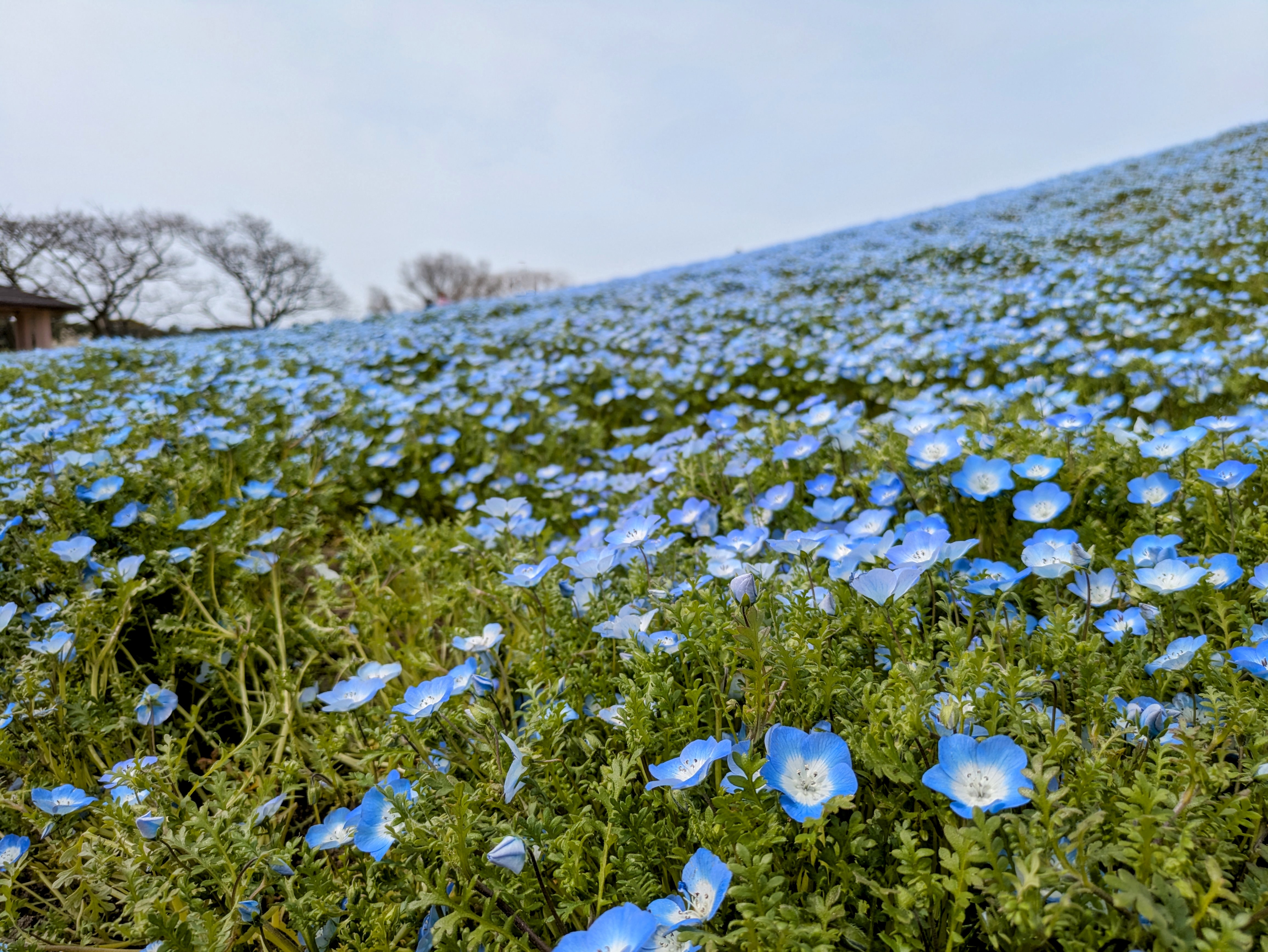 海の中道海浜公園